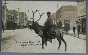 Domestication of caribou, bison, reindeer, and even elk are not uncommon.